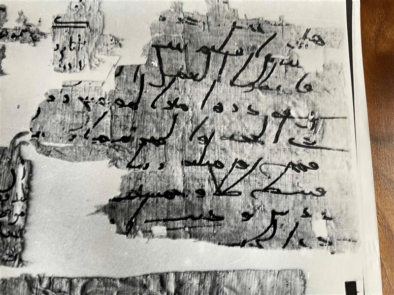 P mird ar 102 enhanced Fraction of papyrus described in article